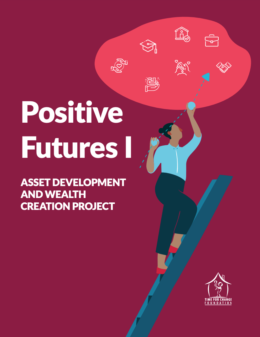 Illustration of a person climbing a ladder and drawing icons representing goals, with text: "Positive Futures I Asset Development and Wealth Creation Project" on a maroon background.